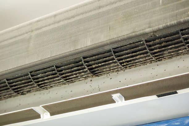 Best Professional Duct Cleaning Services  in Bluffdale, UT